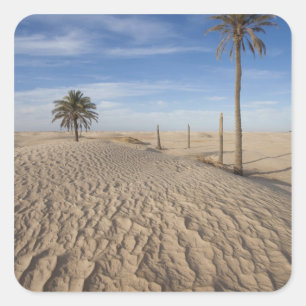 Tunesië, Saharawoestijn, Douz, Grote Duin, zonsopg Vierkante Sticker