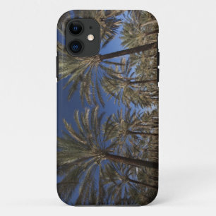Tunesië, Saharawoestijn, Douz, toeristische zone,  iPhone 11 Hoesje