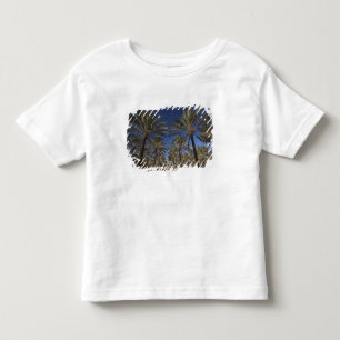 Tunesië, Saharawoestijn, Douz, toeristische zone, Kinder Shirts