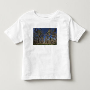 Tunesië, Saharawoestijn, Douz, Zone Touristique, 2 Kinder Shirts
