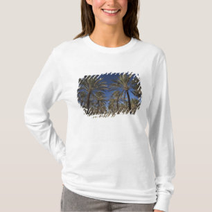 Tunesië, Saharawoestijn, Douz, Zone Touristique, 2 T-shirt