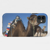 Tunesië, Saharawoestijn, Douz, Zone Touristique, Case-Mate iPhone Case (Achterkant (horizontaal))