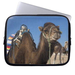 Tunesië, Saharawoestijn, Douz, Zone Touristique, Laptop Sleeve