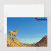Tunesische geitenkaart (Voorkant / Achterkant)