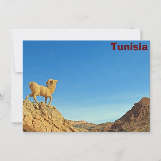 Tunesische geitenkaart (Voorkant)