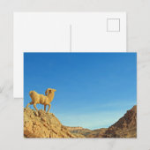Tunesische geitenstandbeeld briefkaart (Voorkant / Achterkant)