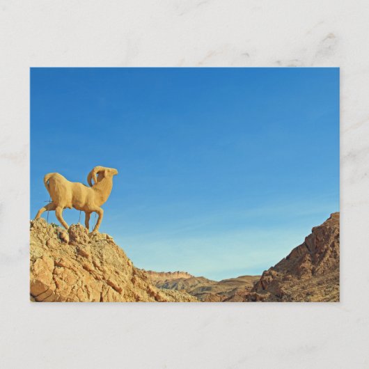Tunesische geitenstandbeeld briefkaart (Voorkant)