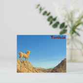 Tunesische geitenstandbeeld briefkaart (Staand voorkant)