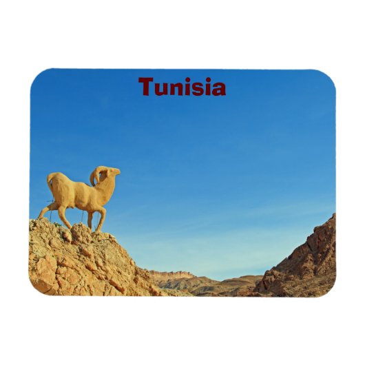 Tunesische geitenstandbeeld magneet (Horizontaal)