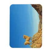 Tunesische geitenstandbeeld magneet (Verticaal)