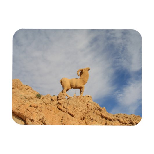 Tunesische geitenstandbeeld magneet (Horizontaal)