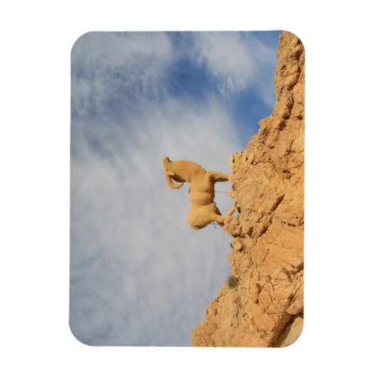 Tunesische geitenstandbeeld magneet (Verticaal)