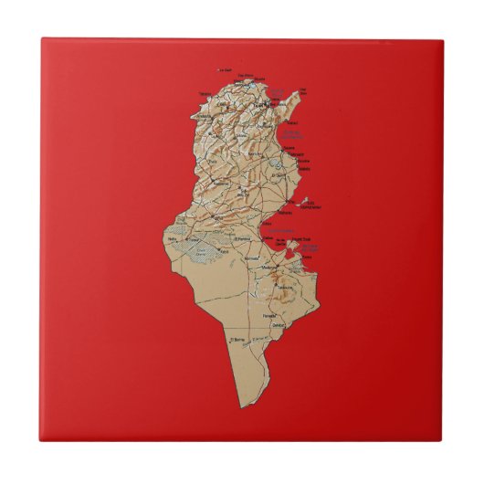 Tunesische plattegrond tegeltje (Voorkant)