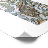 Tunesische Romeinse mozaïeken Poster (Hoek)