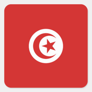 Tunesische vlaggen vierkante sticker