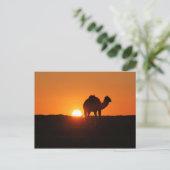 Tunesische woestijn in zonsondergang briefkaart (Staand voorkant)