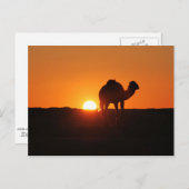 Tunesische woestijn in zonsondergang briefkaart (Voorkant / Achterkant)
