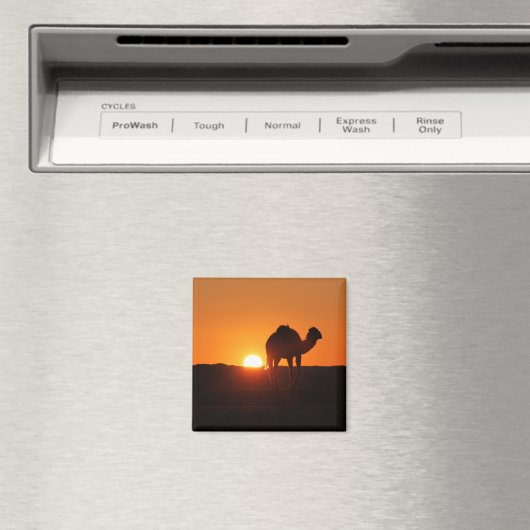 Tunesische woestijn, kameel op zonsondergang magneet (Insitu (Vaatwasser))