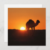 Tunesische woestijnlandschapsfoto met kameel (Voorkant / Achterkant)