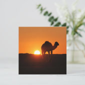 Tunesische woestijnlandschapsfoto met kameel (Staand voorkant)