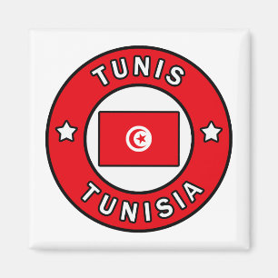 Tunis Tunesië Magneet