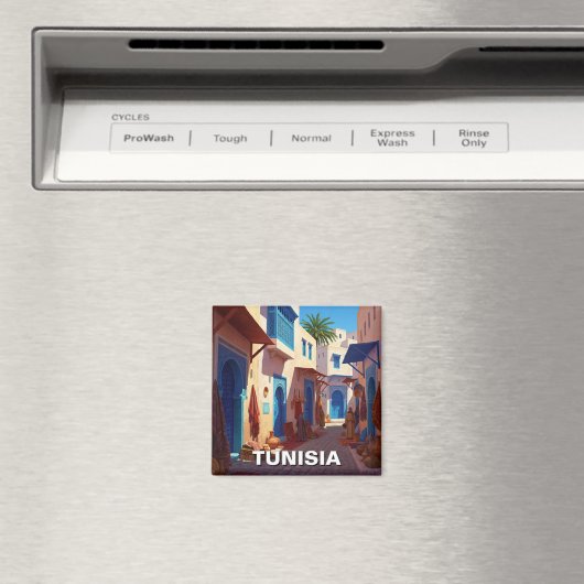 Tunis Tunesië Reizen Magneet (Insitu (Vaatwasser))