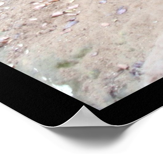 Tunnel in het Oude Man Poster (Hoek)