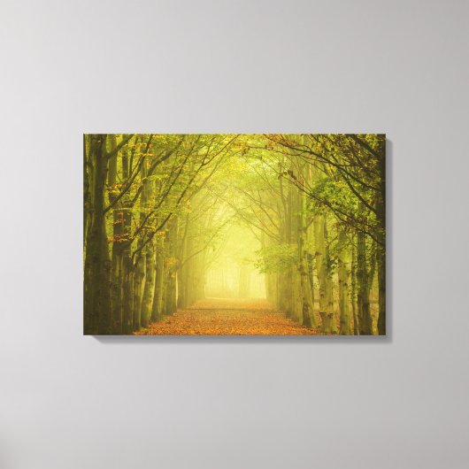 Tunnel van licht canvas afdruk (Voorkant)
