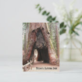 Tunnelboom - Yosemite Briefkaart (Staand voorkant)