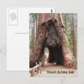 Tunnelboom - Yosemite Briefkaart (Voorkant / Achterkant)