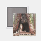 Tunnelboom - Yosemite Magneet (Voorkant / Achterkant)