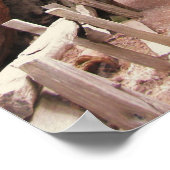 Tunnelboom - Yosemite Poster (Hoek)