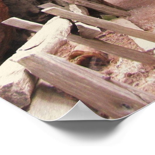 Tunnelboom - Yosemite Poster (Hoek)