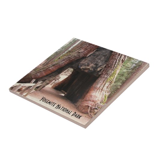 Tunnelboom - Yosemite Tegeltje (Zijkant)