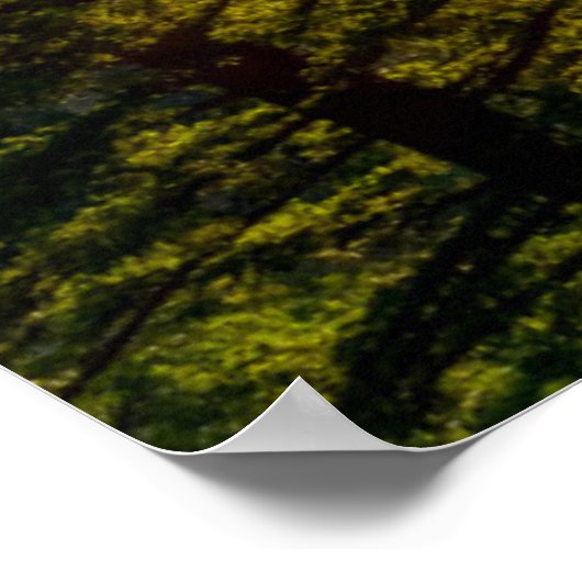 TunnelUitzicht Poster (Hoek)