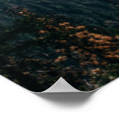 TunnelUitzicht van Yosemite Poster (Hoek)