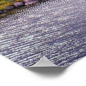 Tuolumne Meadow Poster | Yosemite Landschap (Hoek)