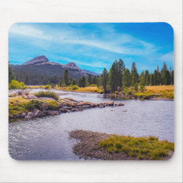 Tuolumne Meadow & Tuolumne Creek Muismat