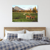 Tuolumne Meadow, Yosemite Canvas Afdruk (Insitu (Slaapkamer))