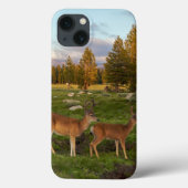 Tuolumne Meadow, Yosemite Case-Mate iPhone Case (Achterkant)