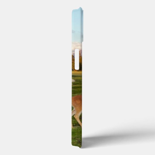 Tuolumne Meadow, Yosemite Case-Mate iPhone Case (Achterkant / Rechts)