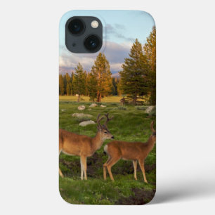 Tuolumne Meadow, Yosemite iPhone 13 Hoesje