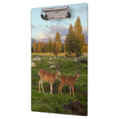 Tuolumne Meadow, Yosemite Klembord (Links)