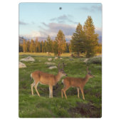 Tuolumne Meadow, Yosemite Klembord (Achterkant)