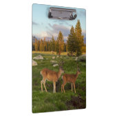 Tuolumne Meadow, Yosemite Klembord (Rechts)