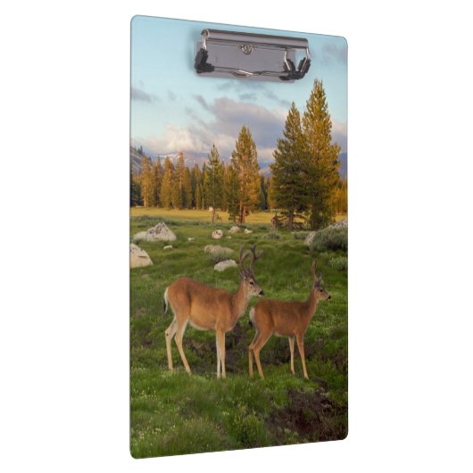 Tuolumne Meadow, Yosemite Klembord (Rechts)