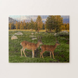 Tuolumne Meadow, Yosemite Legpuzzel