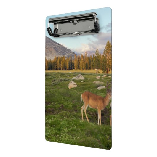 Tuolumne Meadow, Yosemite Mini Klembord (Angled2)