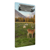 Tuolumne Meadow, Yosemite Mini Klembord (Schuin)