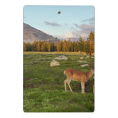 Tuolumne Meadow, Yosemite Mini Klembord (Achterkant)